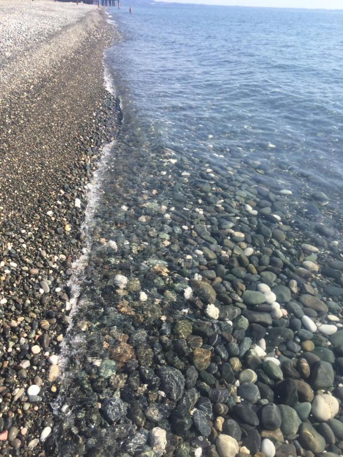 Гостевой Дом Siella Ξενοδοχείο Σουχούμι Εξωτερικό φωτογραφία